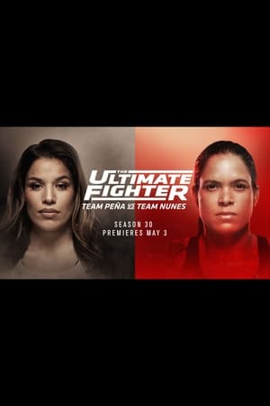 The Ultimate Fighter第30季