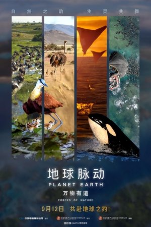 地球脉动：万物有道