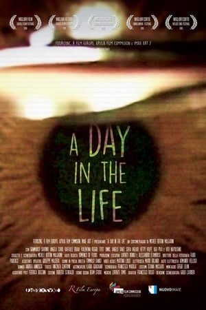 A Day in the Life