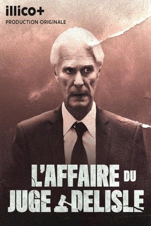 L'affaire du juge Delisle