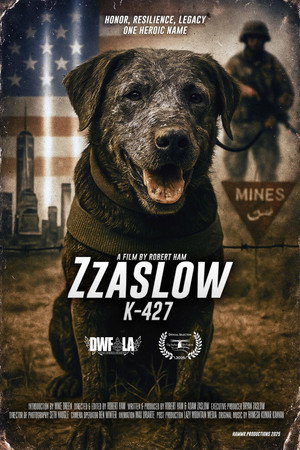 Zzaslow K-427
