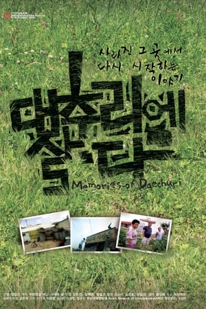 대추리에 살다