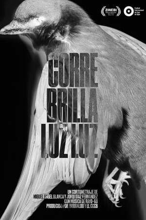 Corre Brilla Luz Luz