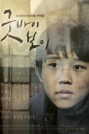 再见，男孩