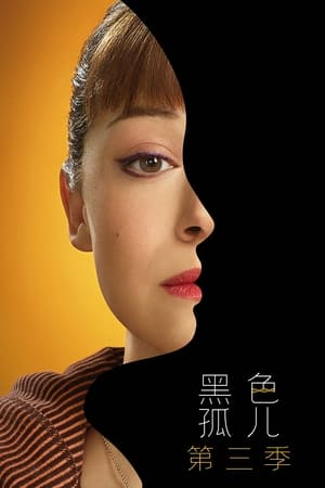 黑色孤儿第 3 季