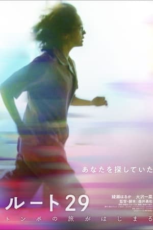 路线29