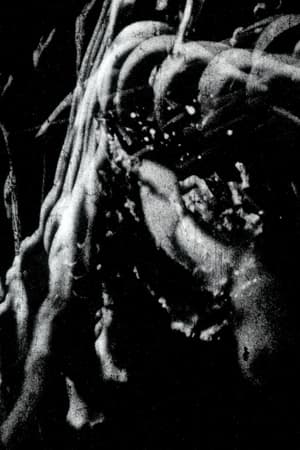 Traces