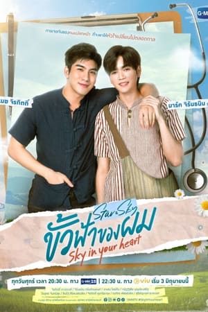 แล้วแต่ดาว第2季