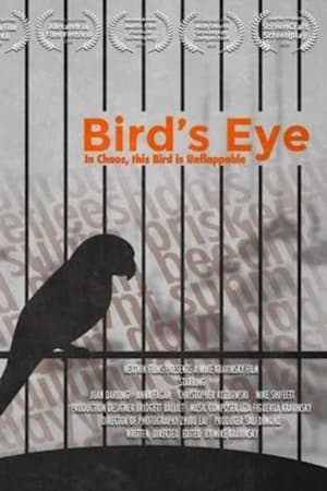 Bird's Eye