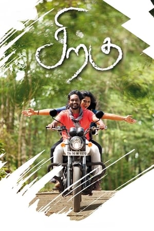 சிறகு