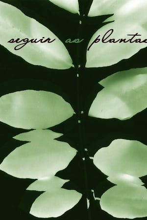Seguir as Plantas