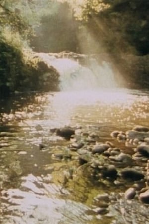 Landskap