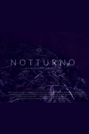 Notturno