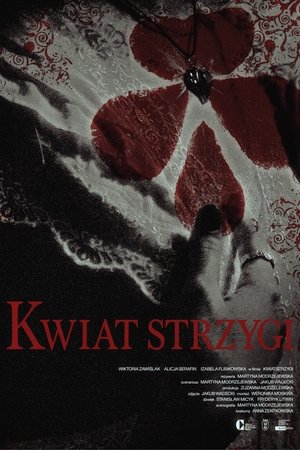 Kwiat strzygi