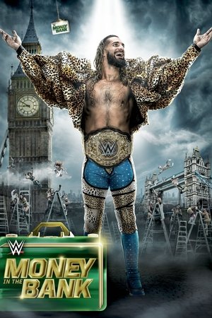 WWE 合约阶梯 2023