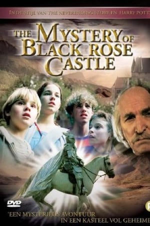 The Mystery of Black Rose Castle