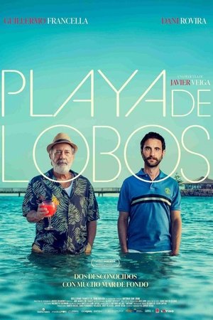 Playa de lobos