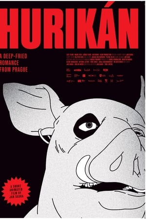Hurikán