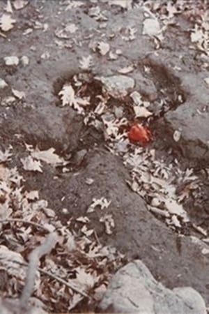 Corazón de Roca con Sangre