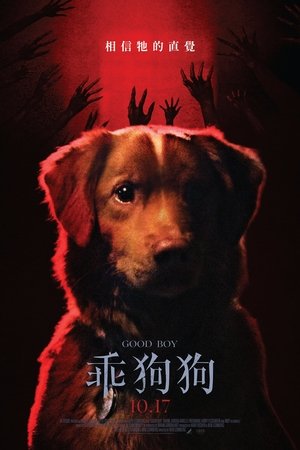 Good Boy