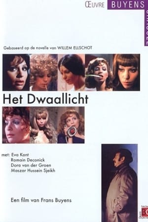 Het Dwaallicht