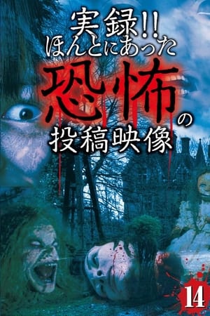実録! ! ほんとにあった恐怖の投稿映像 14