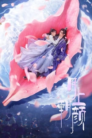 月上朝颜