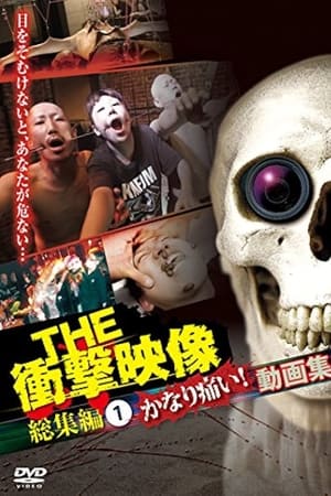 THE 衝撃映像 総集編(1) かなり痛い! 動画集