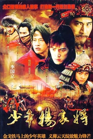 少年杨家将