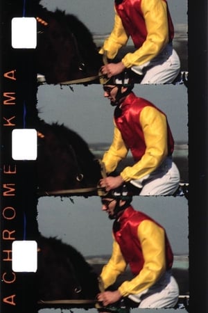 Chevaux (Introduction)