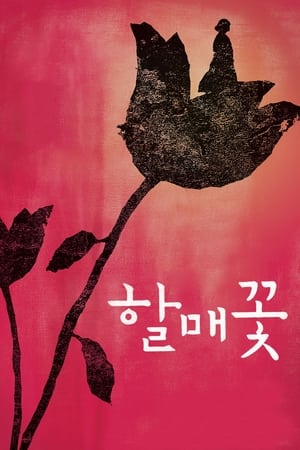 할매꽃