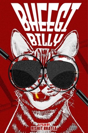 Bheegi Billy