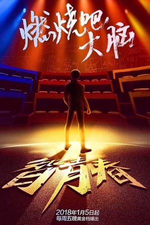 最强大脑第5季