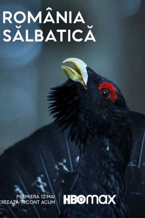 România Sălbatică