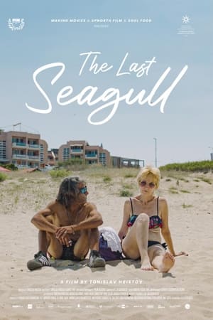 The Last Seagull