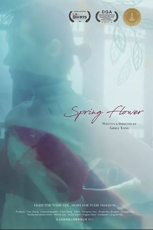 Spring Flower