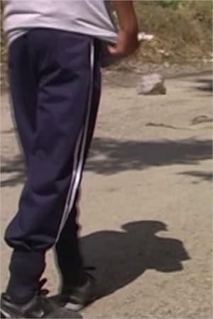 taş atan çocuklar