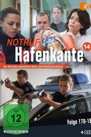 Notruf Hafenkante第14季