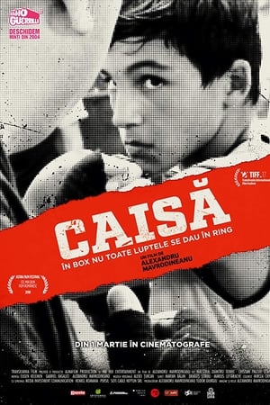 Caisă