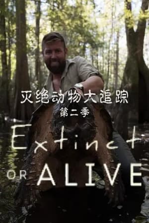 灭绝动物大追踪