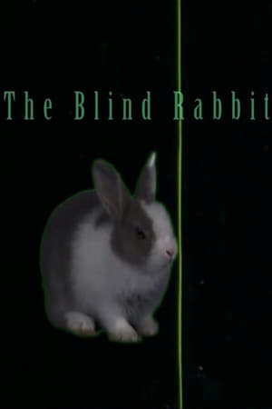 The Blind Rabbit
