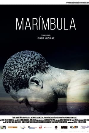 Marímbula