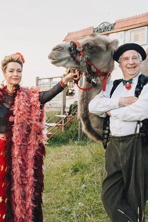 Zimmer mit Stall - So ein Zirkus