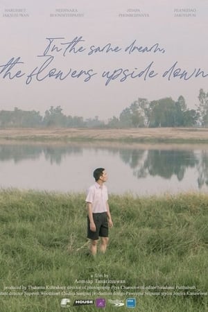 In the Same Dream,the Flowers Upside Down