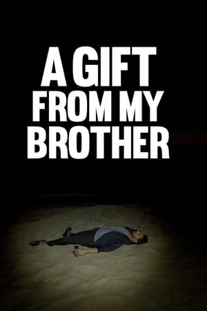 A Gift from My Brother