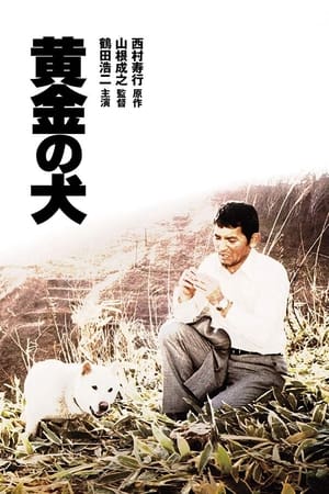 黄金之犬