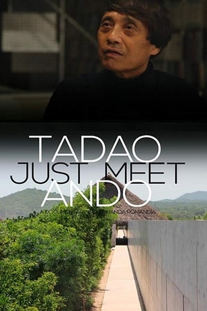 Just Meet