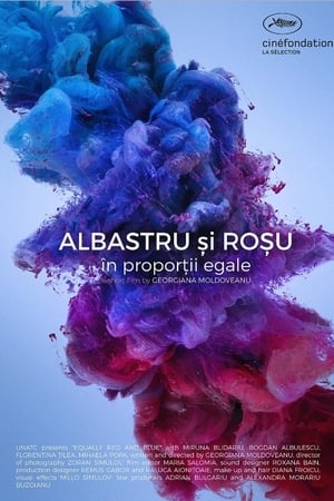 Albastru si rosu, in proportii egale
