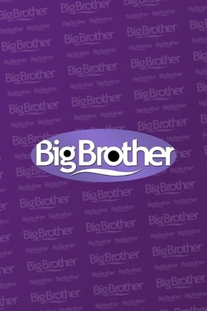 Big Brother第3季