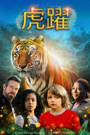 高飞